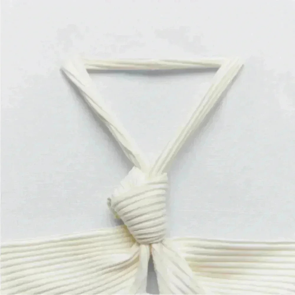 ZARA Bodysuit - Picture 6 of 9